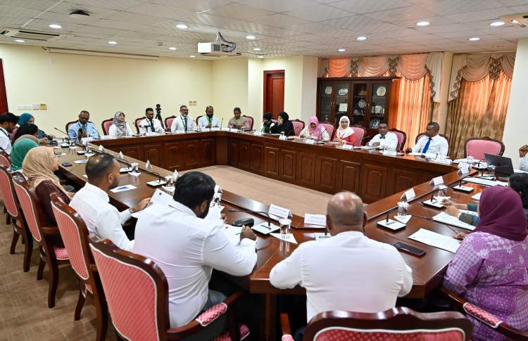 ދެ ސަރަހައްދެއްގައި ޓެލެމެޑިސިން ފަށަން ތައްޔާރުވެއްޖެ