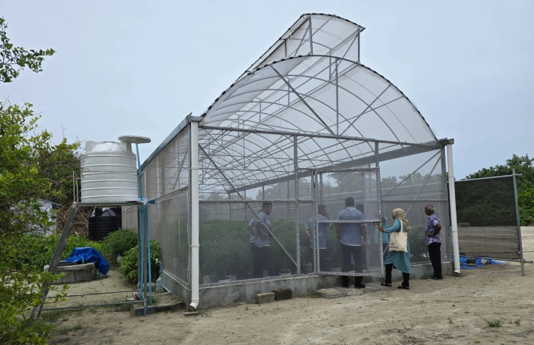 އުތުރުގެ 12 ރަށެއްގައި ގްރީންހައުސް ހަދައިފި