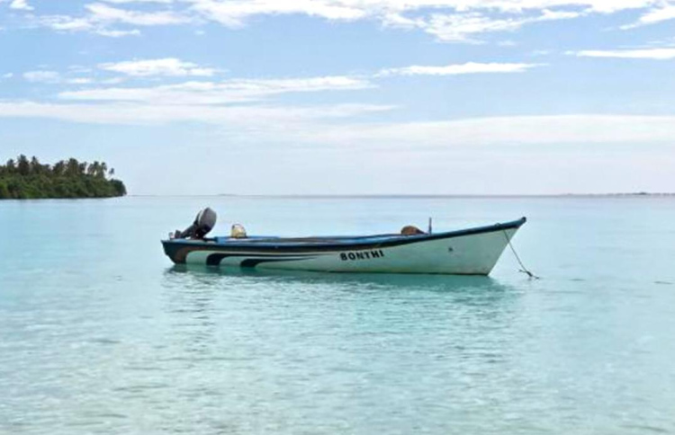 ޒަކަރިއްޔާ ހޯދުން ކުރިއަށް، އަދިވެސް ނުފެނޭ