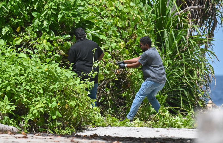 މާޅޮހުގެ މަރު:ރަށުގެ ހުރަސް މަގު އަތިރިފަޅި ފާސްކުރަނީ