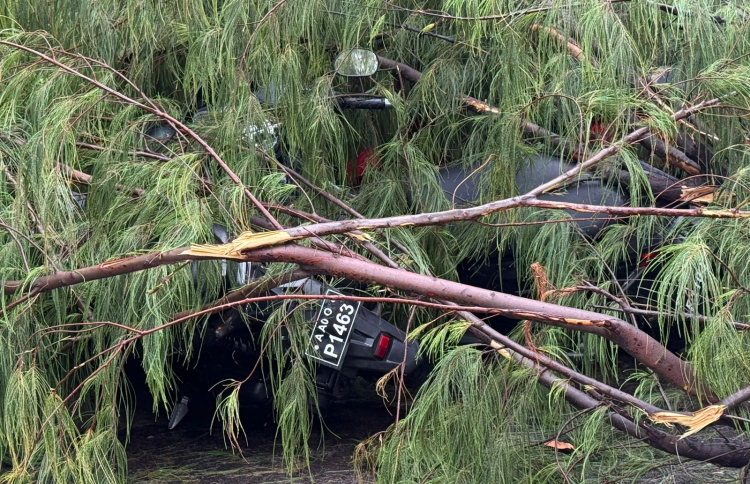 ހުޅުމާލެއަށް 52 މޭލަށް ވައިޖެހި ބޮޑެތި ގެއްލުންތަކެއް