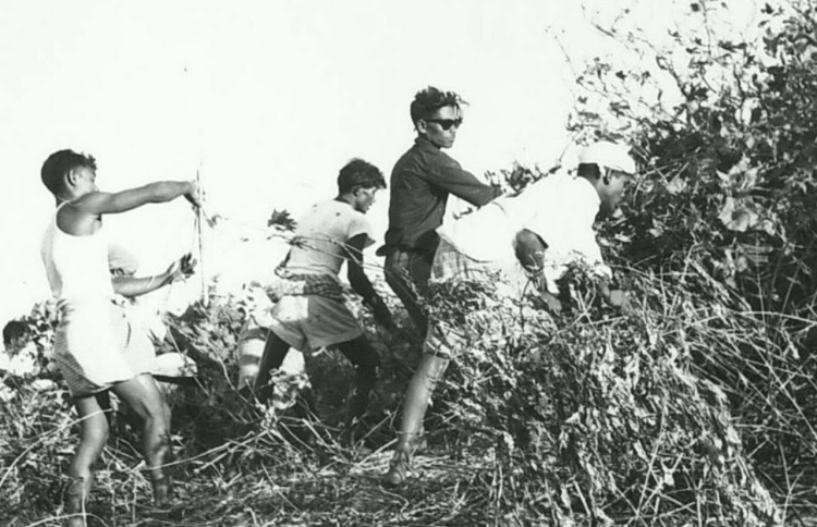 ހުޅުލޭ އެއާޕޯޓް: މިނިވަންކަމުގެ ދަތުރުގެ މައި ބަނދަރު