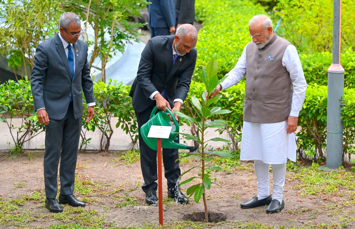 އިންޑިއާގެ ބޮޑު ވަޒީިރު ނަރެންދުރަ މޯދީ ރާއްޖެ އަށް މިހާރު ކުރައްވަމުން ގެންދަވާ ފުރަމާނަ ދަތުރުފުޅުގައި ސަލްޓަން ޕާކްގައި ގަސް އިންދެވުމަށް ބޭއްވި ރަސްމިއްޔާތުގައި ރައީސް ޑރ މުހައްމަދު މުއިއްޒު އިންދެވި ގަހަށް ފެން ދެއްވަނީ.--- ފޮޓޯ: ނިޝާން އަލީ | މިހާރު