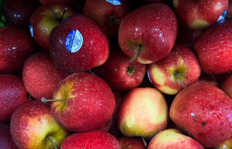 އާފަލެއްގެ އަގު 10ރ. އިން މައްޗަށް