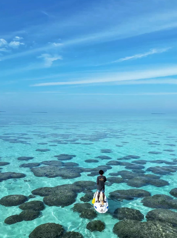 އެންމެން އަހަނީ މިއީ ހަމަ ރާއްޖެހޭ؟