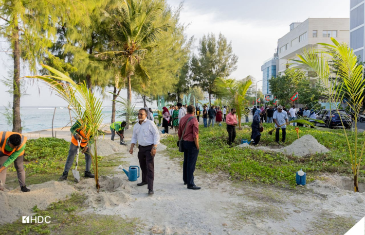 ހުޅުމާލޭގައި 60 ރުއް އިންދައިފި