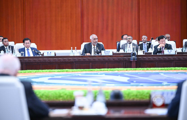 ފަލަސްތީނުގެ ހައްގުގައި މަސައްކަތްކުރަން އެދިވަޑައިގެންފި