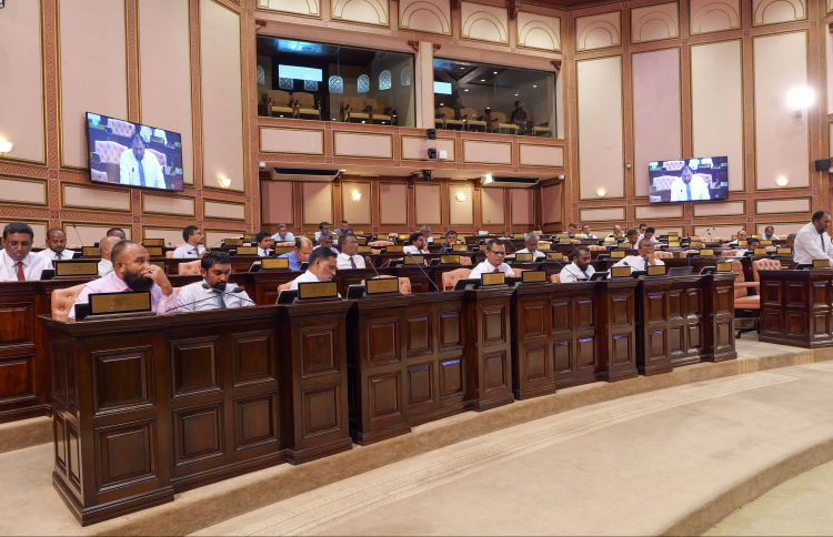 ދެކޮޅު ހެދުންތަކުގެ ތެރޭގައި މީޑިއާ ބިލް ފާސްކޮށްފި