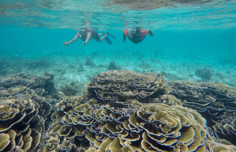 ވެއްޓަށް ގެއްލުން ލިބޭ އެހެން ޕްރޮޖެކްޓުތައް ހުއްޓާލާ!