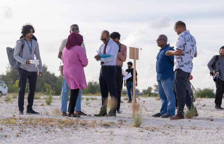 ގުޅިފަޅު ގޯތިތައް ހަވާލުކުރަން ފަށައިފި