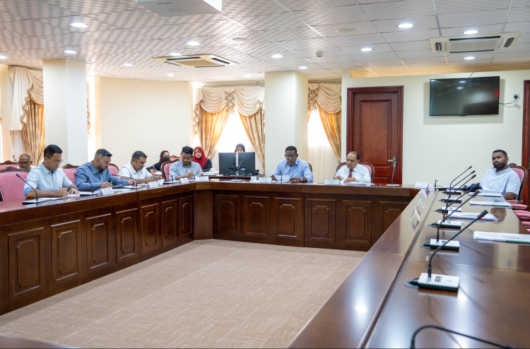 ކައުންސެލް ޖެނެރަލްގެ ލަފަޔާ އެކު ބިލު ފާސްކޮށްފި