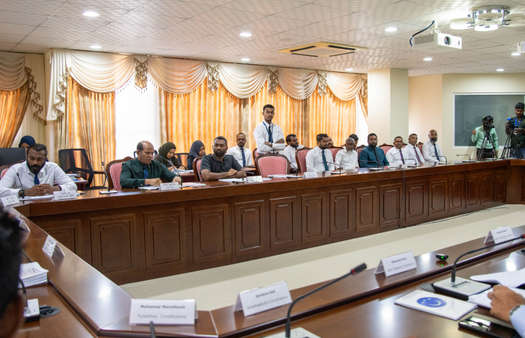 ކޮމެޓީތަކުގެ މަސައްކަތަށް ހުރަސްއަޅާނަމަ ފިޔަވަޅު އަޅަނީ