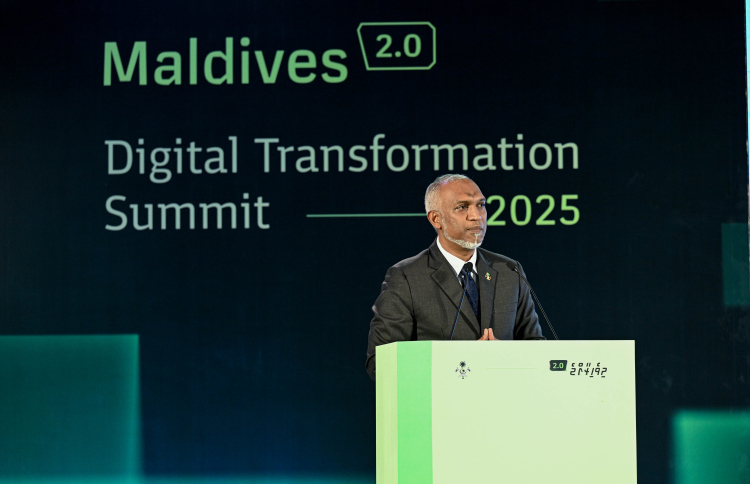 ޑިޖިޓަލް ޓްރާންސްފޮމޭޝަން ކައުންސިލެއް އުފައްދައިފި