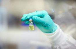 އެޗްއައިވީން ރައްކާތެރިވާން އުފެއްދި ބޭސް ދައްކާލަނީ. ފޮޓޯ: އޭއެފްޕީ