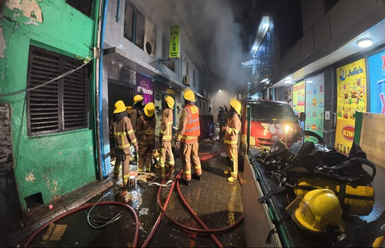 ލިލީ ފިހާރައިގައި ރޯވެ ބޮޑު ގެއްލުމެއް