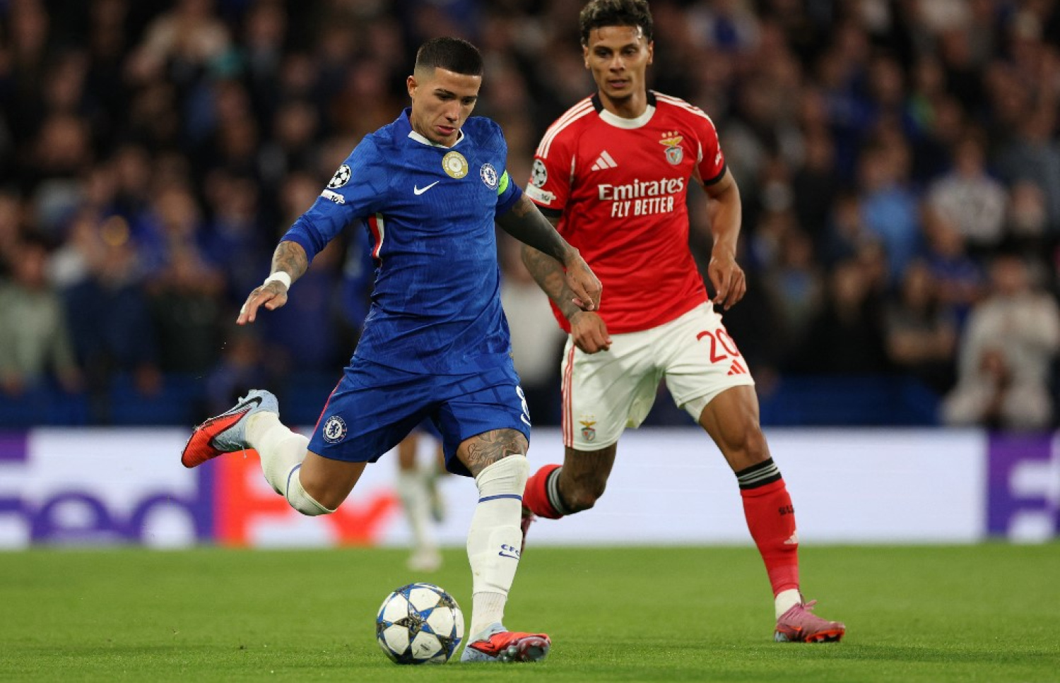 އެންޒޯ (ވ)؛ ކެޕްތަން ބޭންޑް އަޅައިގެން ރޭގެ މެޗުގައި ޗެލްސީ ލީޑޫ ކުރީ އޭނާ.-- ފޮޓޯ: އޭއެފްޕީ