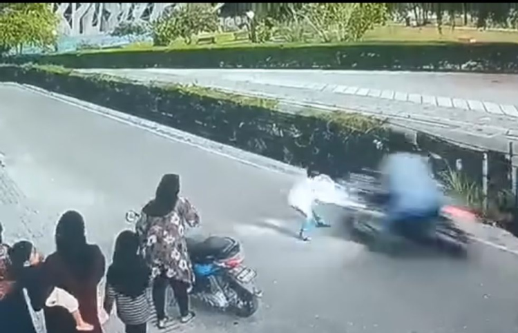 ލައިސަންސް ނެތި ދުއްވަނިކޮށް ޖެހުނީ ކުއްޖެއްގެ ގައިގައި