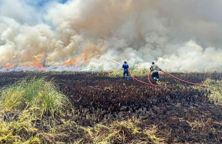 އައްޑޫގެ ރީތި އިކޯ ގާޑެން "އަންދާލައި" އަޅިއަށް