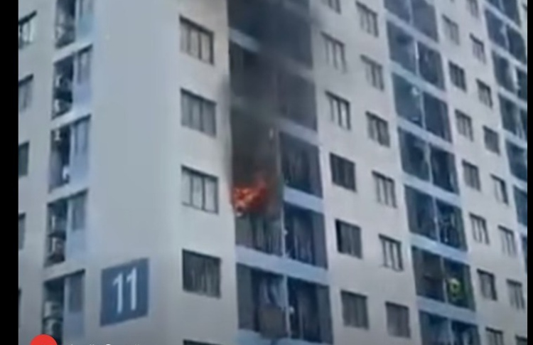 ހިޔާގެ އެޕާޓްމަންޓެއްގައި ރޯވެ، ގެއްލުން ލިބިއްޖެ