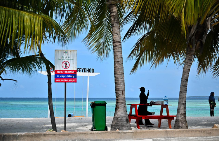 ސިޓީ ކައުންސިލުން ވަކިވެ، ފޭދުއަށް އޮތް މޮޅަކީ ކޮބާ؟