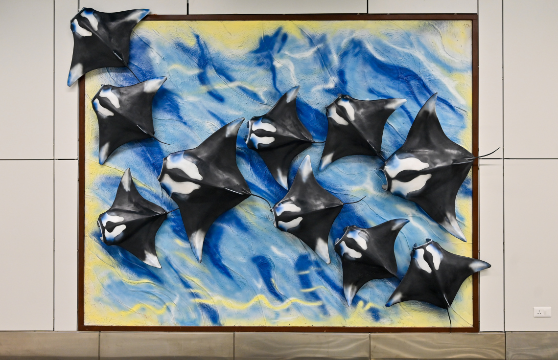 ހަނިމާދޫ އިންޓަނޭޝަނަލް އެެއާޕޯޓްގެ އެތެރެ: ރާއްޖޭގެ ގުދުރަތީ ރީތިކަމާއި ދިވެހިންގެ އުޅުމާއި ސަގާފަތް ދައްކުވައިދޭ ގޮތަށް ފަރުމާ ކުރުމަށް ހާއްސަ އިސްކަމެއް ދީފައިވޭ.---ފޮޓޯ: ނިޝާން އަލީ| މިހާރު