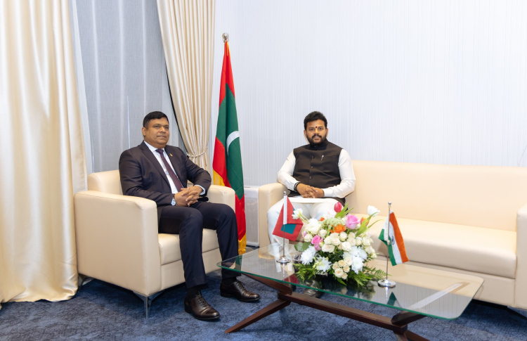 ހަނިމާދުއަށް ވައިގެ ދަތުރު އިތުރުކުރަން މަޝްވަރާކޮށްފި