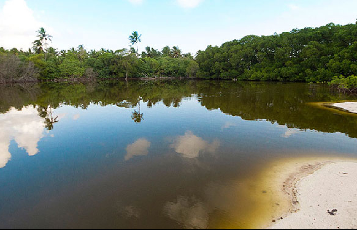 "އޮޑިޓުން ބުނާގޮތަށް ކުލި ނެގުމުން ގެއްލުން މާ ބޮޑު"