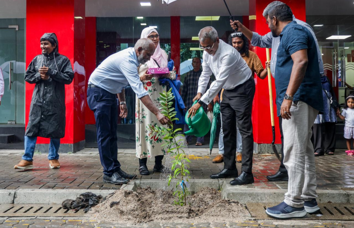 ރުކާއި ހައިވަރަކާއެކު ވިލިމާލޭގައި 500ގަސް އިންދައިފި