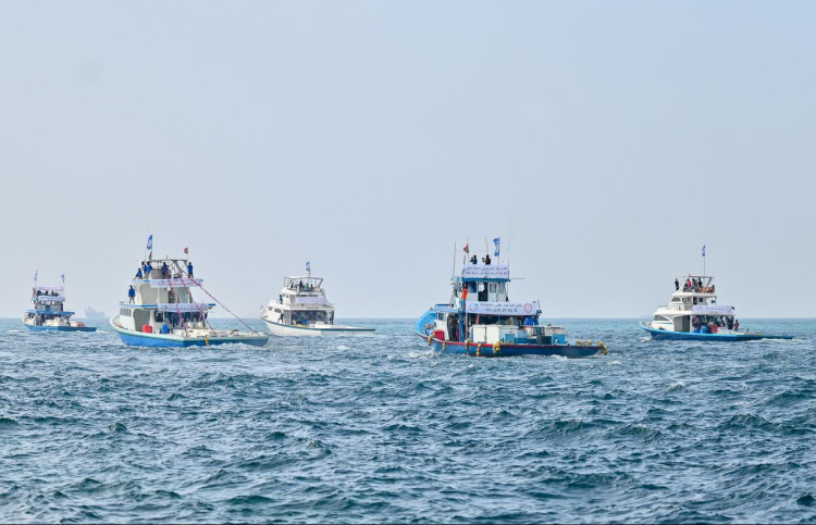 10 ކިލޯ ހަމަވާ ކަންނެލި މިފްކޯއަށް ގަންނަން ފަށައިފި