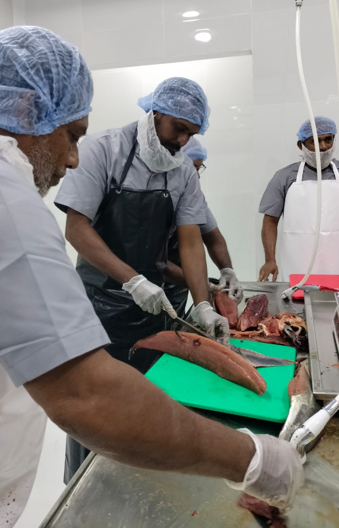 މިފްކޯ އިން ފުވައްމުލަކުގައި ހަދާފައިވާ މަސް ފެކްޓަރީގައި ބަޔަކު މަސް ކަނޑަނީ.-- ފޮޓޯ: މިފްކޯ