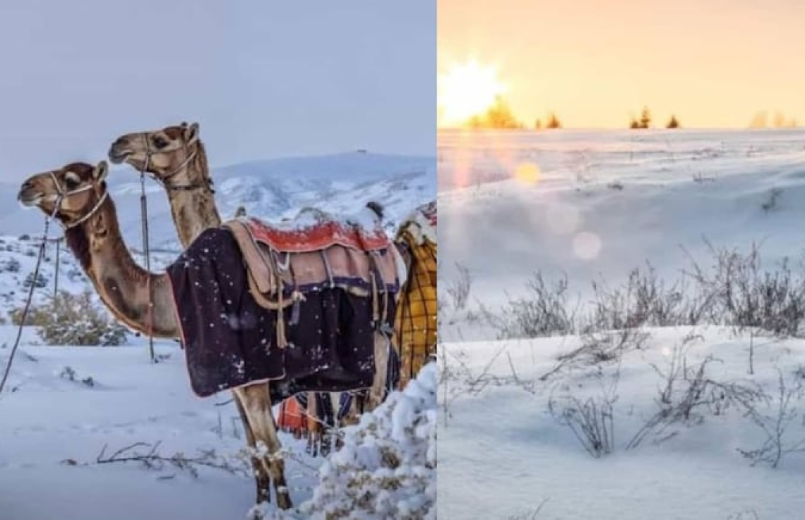 Saudi Arabia ge sahara therey gai snow