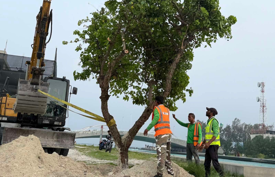 Beyru magun negi hirundhu gasthah Hulhumale' gai indhanee