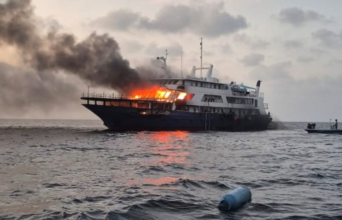 UPDATE: Safari gai roavi alifaan control viyas adhives ekkoh nivva eh nulevey!