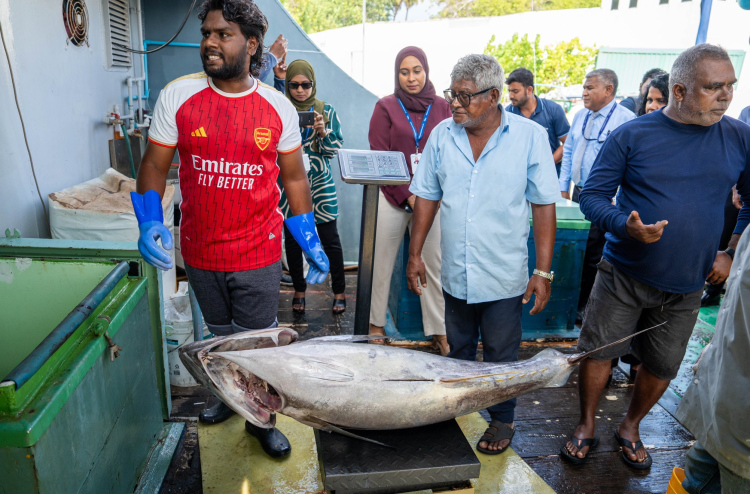 މިފްކޯއިން ކުދި ކަންނެލި ގަތުމަކީ ރަނގަޅު ފެށުމެއް: ޔޫނިއަން