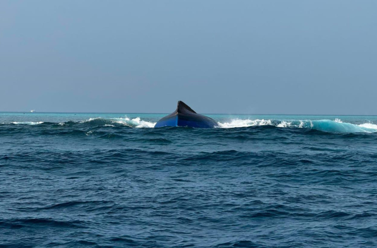 ބޯޓެއް ބަންޑުން ޖަހާލައި ދެމީހުން ގެއްލިއްޖެ