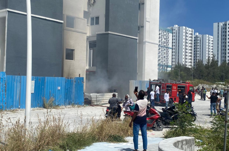 އަލިފާނުގައި އަމާންދޯދި ޓަވަރުގެ ބައެއް ހޮޅިތަކަށް ގެއްލުން