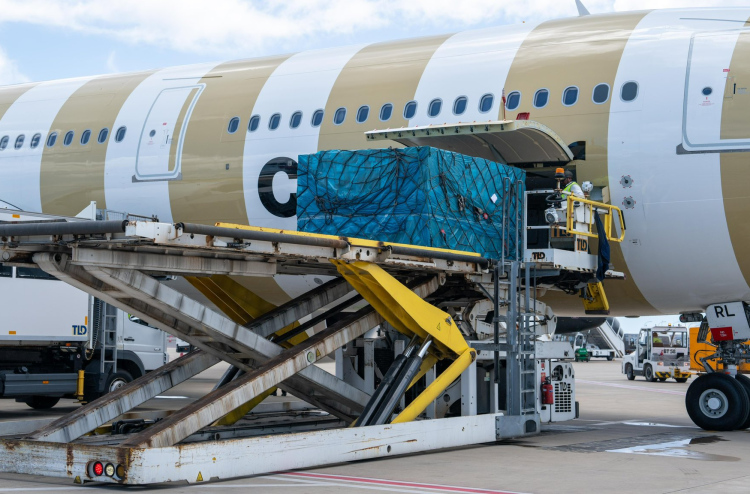 ވެލާނާ އެއާޕޯޓުން މިދިޔަ އަހަރު 89،000 ޓަނުގެ ކާގޯ އުފުލި