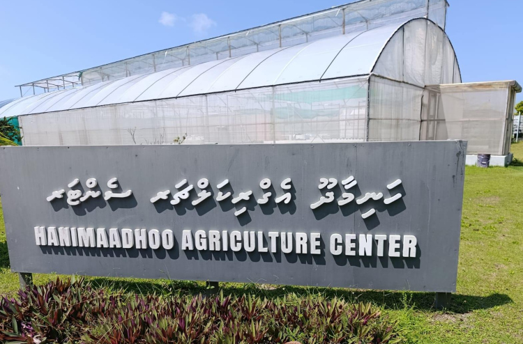 ހަނިމާދޫ އެގްރިކަލްޗާ ސެންޓަރު އަޕްގްރޭޑްކުރާނެ ބަޔަކު ހޯދަނީ