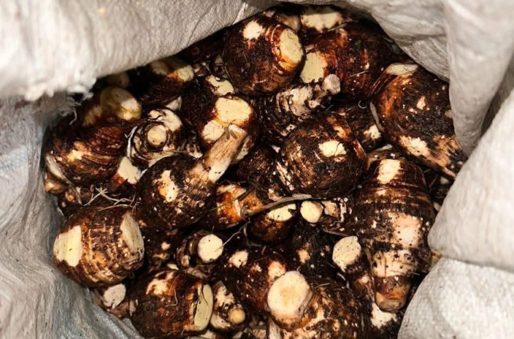 ވަޅޯމަސް، ބަށި، ބަރަބޯ އަދި ކެޔޮގަނޑަކަށް ފަހު އަލަ ގޯންޏެއް