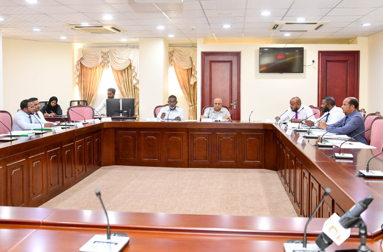 ދެ އިންތިހާބު އެއްކުރާ ބިލަށް ޕާޓީތަކުގެ ހިޔާލު ހޯދަނީ