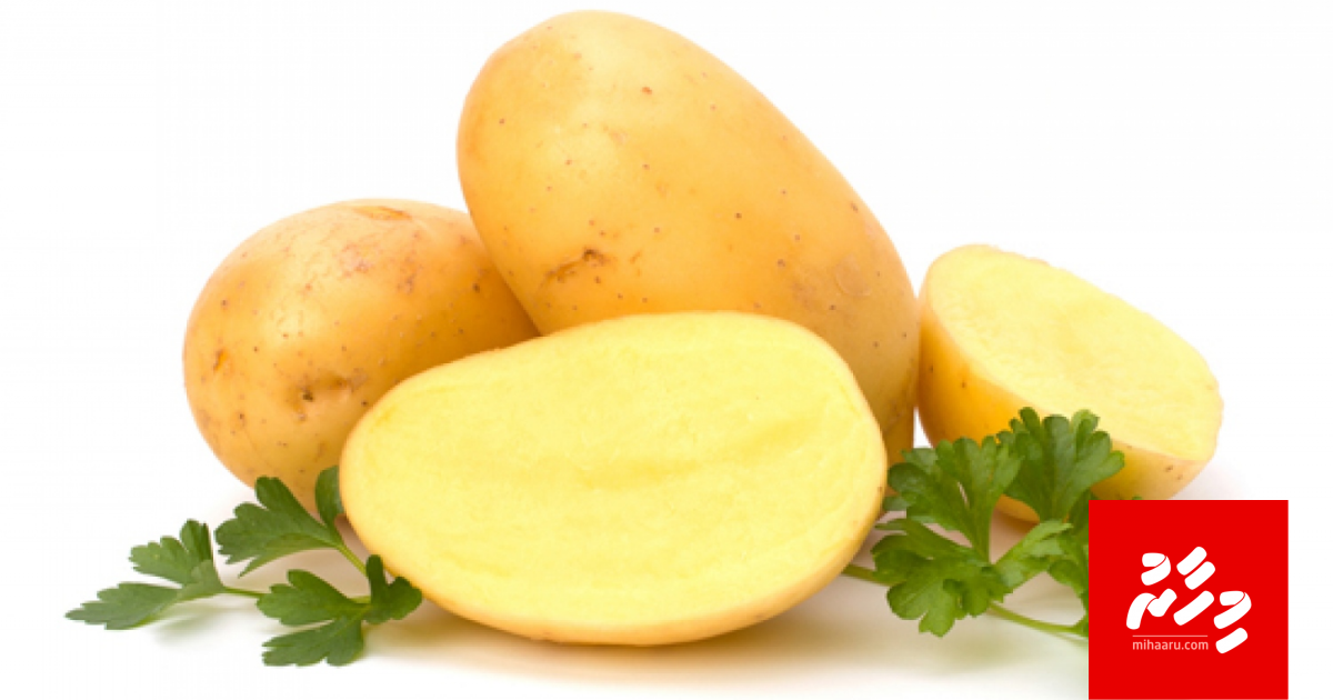 Картошка плоский дизайн. Картофель вектор описание сорта. Картофель семенной, сорт вега. Картошка плоский дизайн. Картофель вектор вкусовые качества.